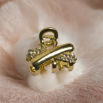 Aurora Shine Clutcher